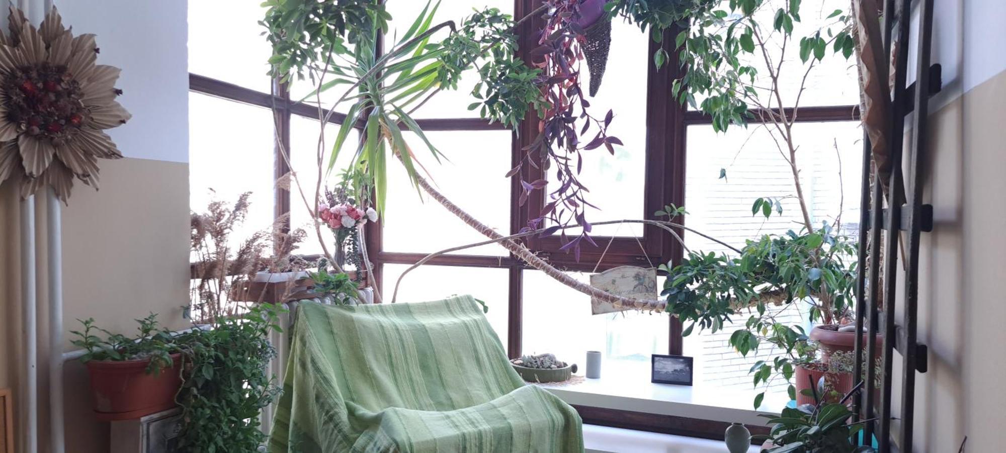 Green Land House Belgrade Extérieur photo